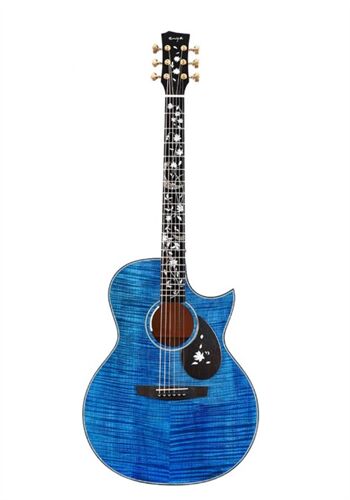 Đàn Guitar Enya Flowers Ocean Limited AJ EQ LR Baggs 